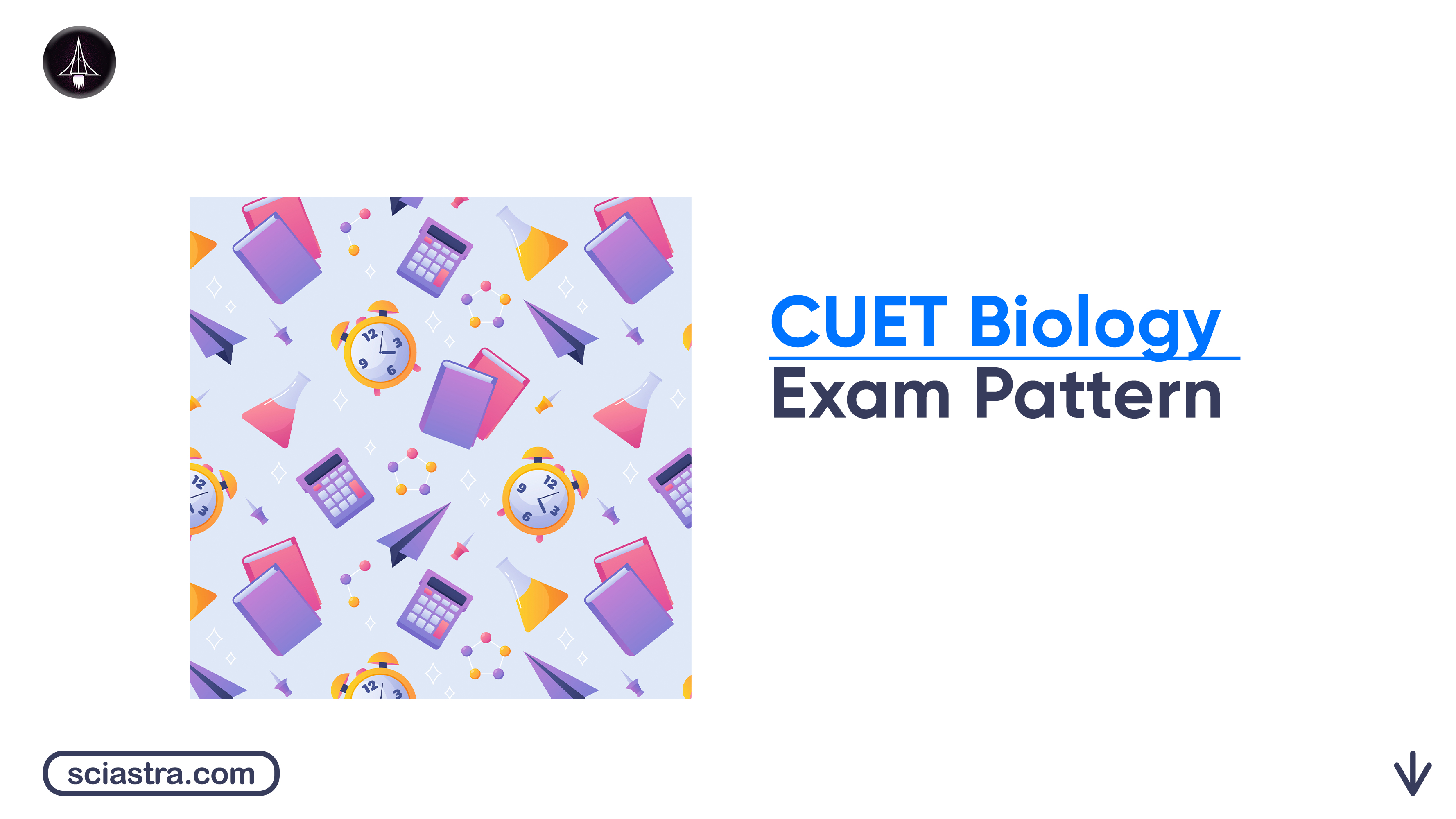 CUET Biology Exam Pattern 2027: Exam Mode, Duration, Language, Marking Scheme & Other Details